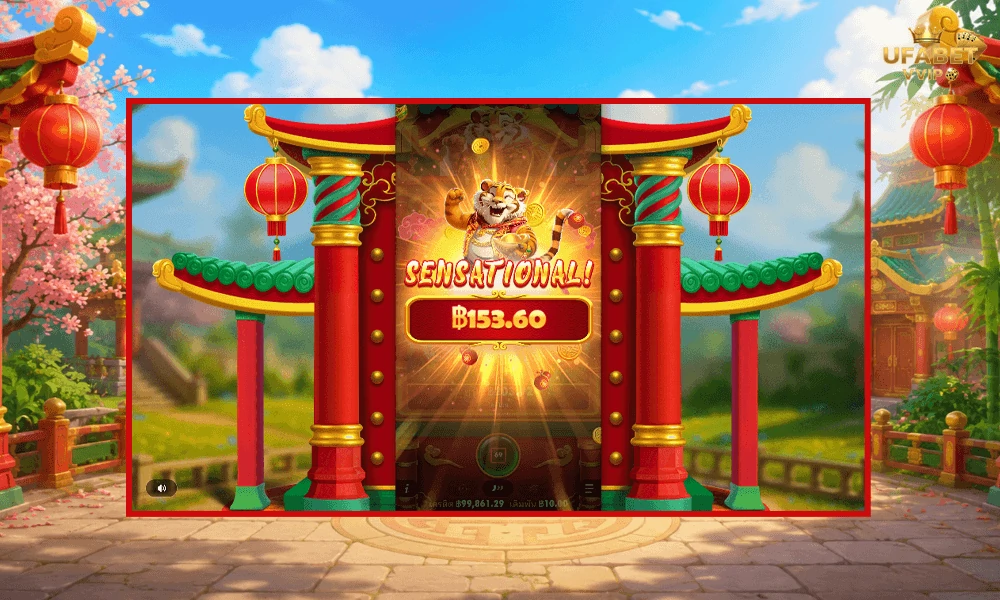 ภาพตัวอย่าง-Senastional-ในเกม-Lucky-Tiger-Gold-Pragmatic-Play